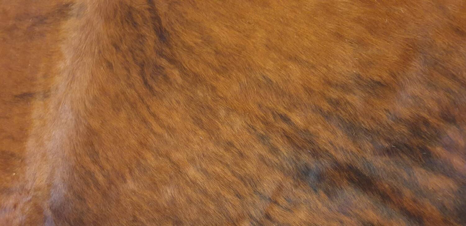 Cowhide 230/217