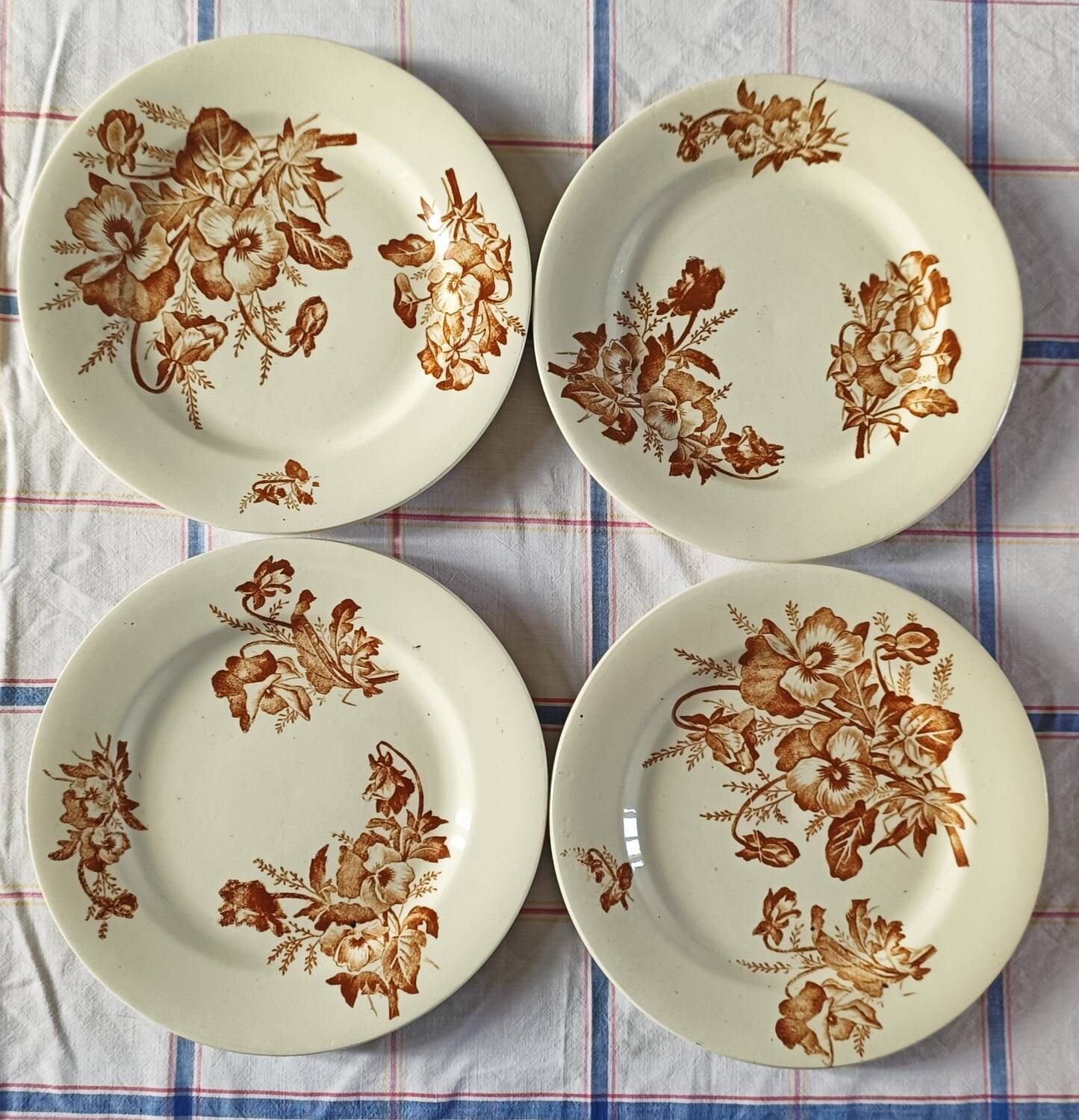 Salins ironware flat plates