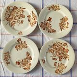 4 assiettes plates en terre de fer Salins