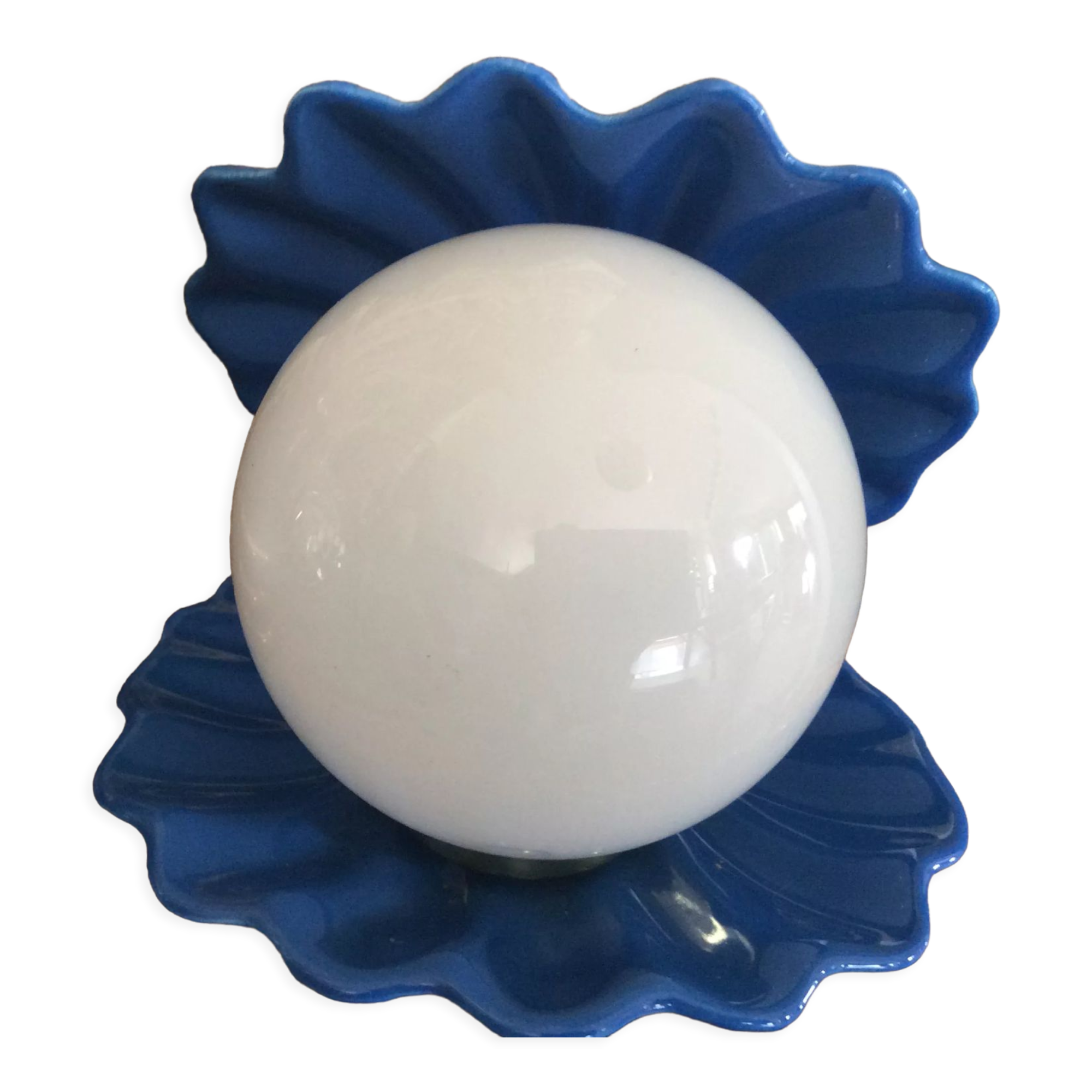 Shell lamp