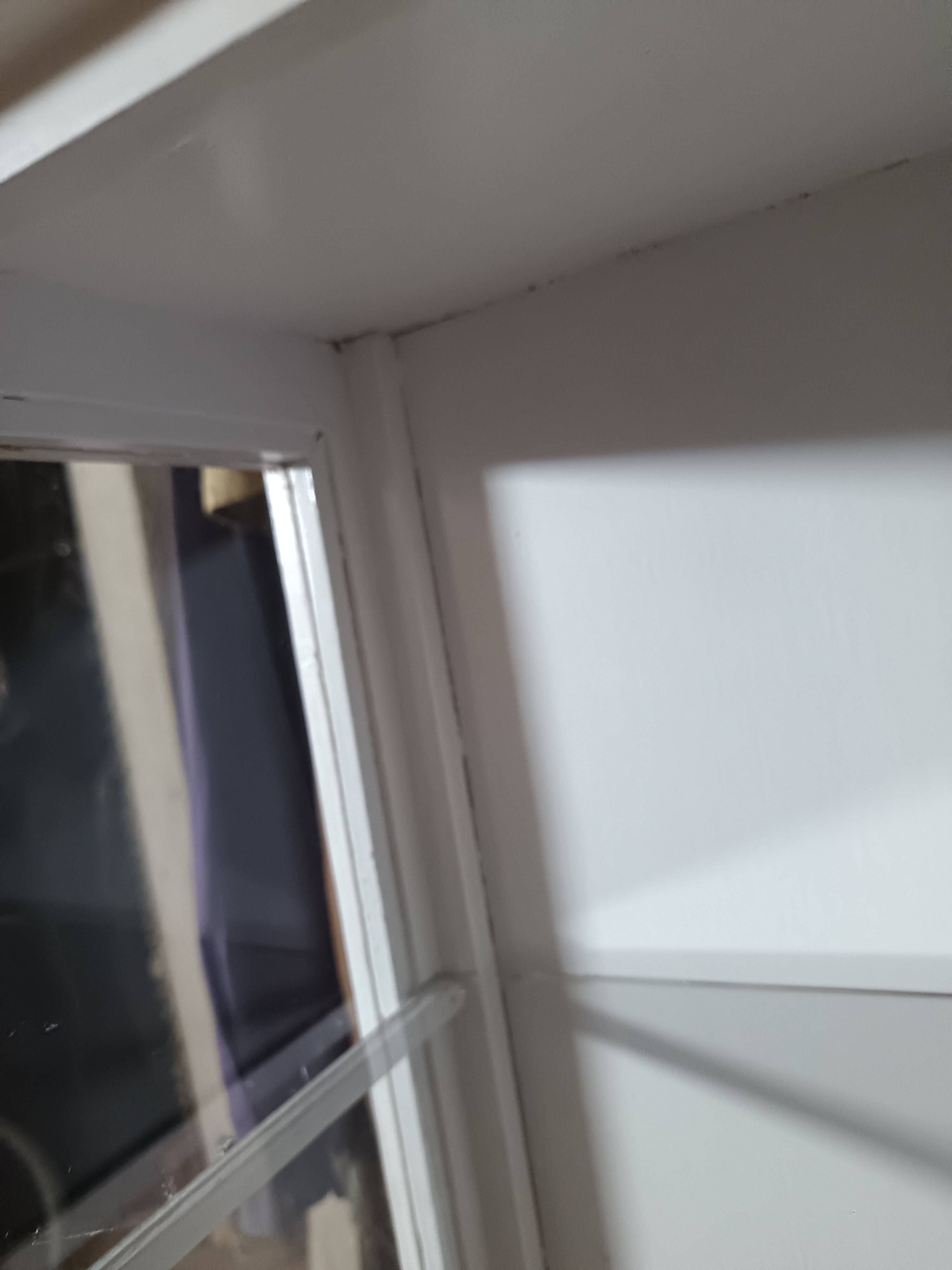 Display cabinet / Silver cabinet with 1 door from the 1950s.