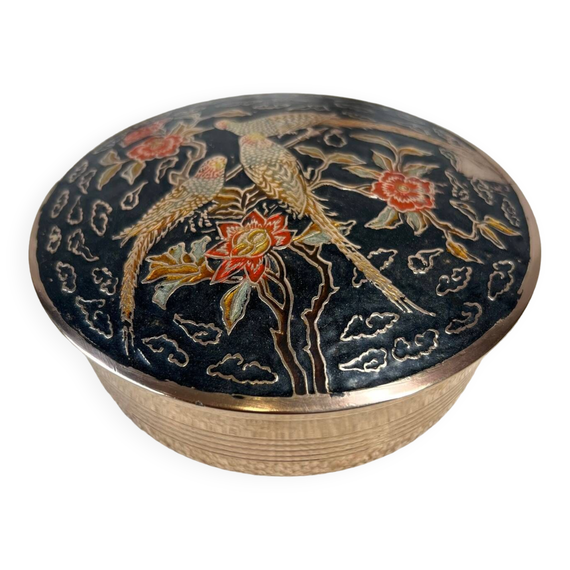 Parrots brass box
