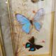 Cadre papillons vintage