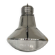 Giant bulb pendant light