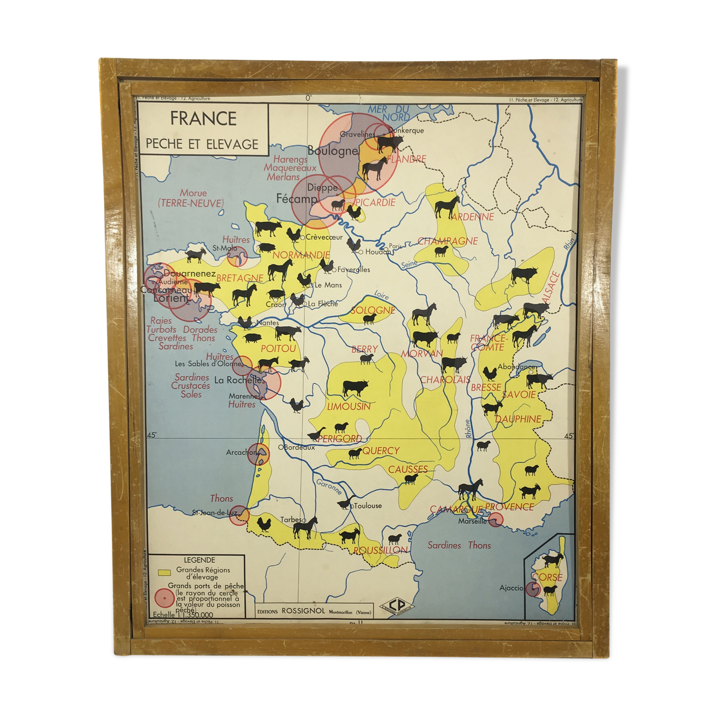 School poster double sided France