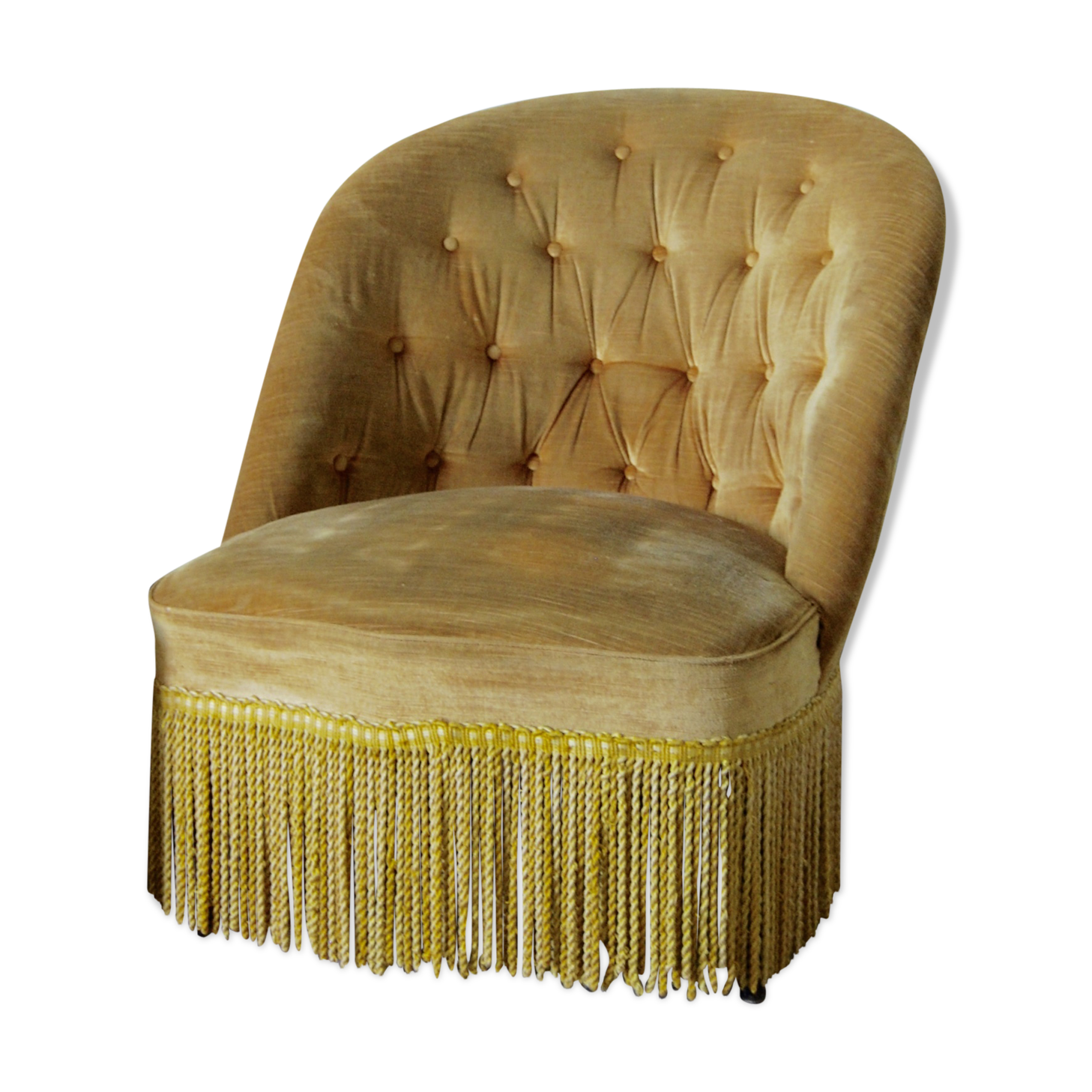 Armchair yellow toad