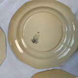 Ironstone plates