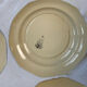 Ironstone plates