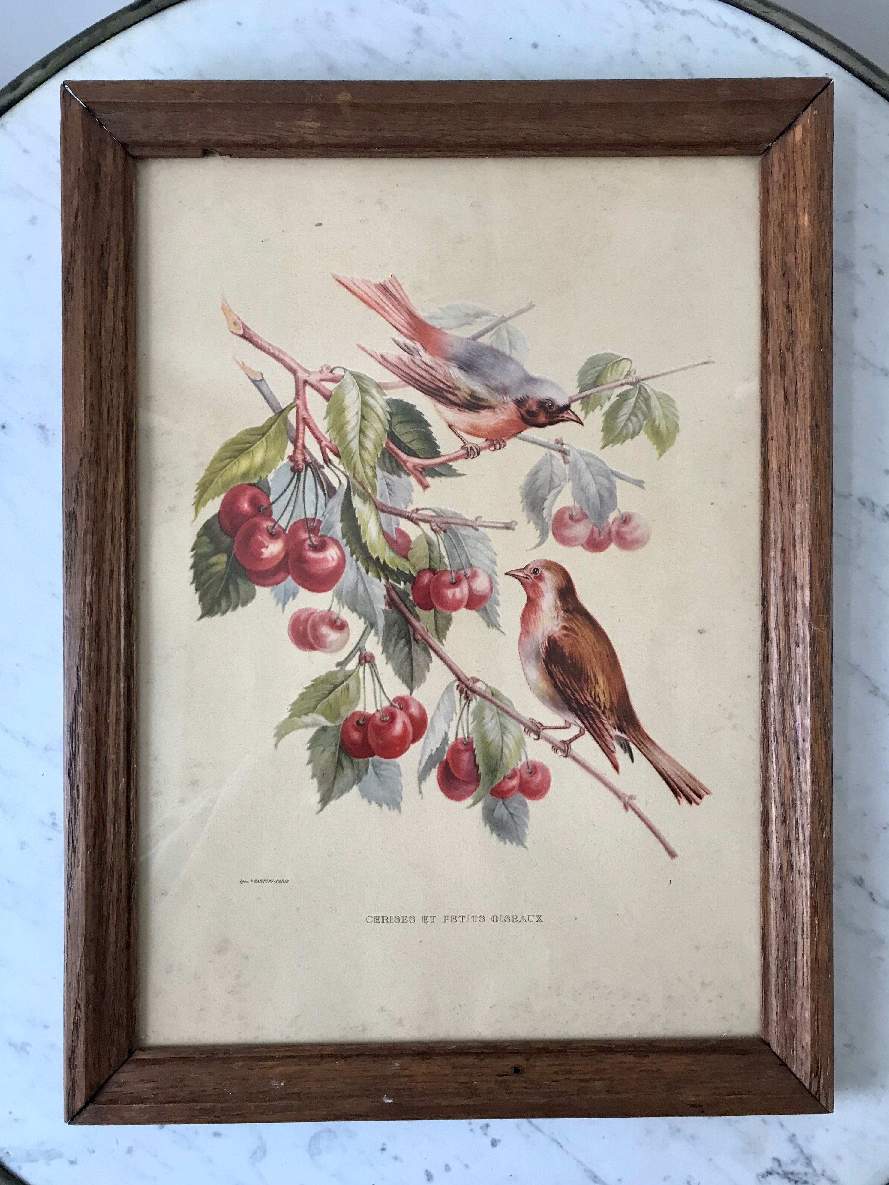 Lithograph v. sartonj cherries and small birds oak frame 50s