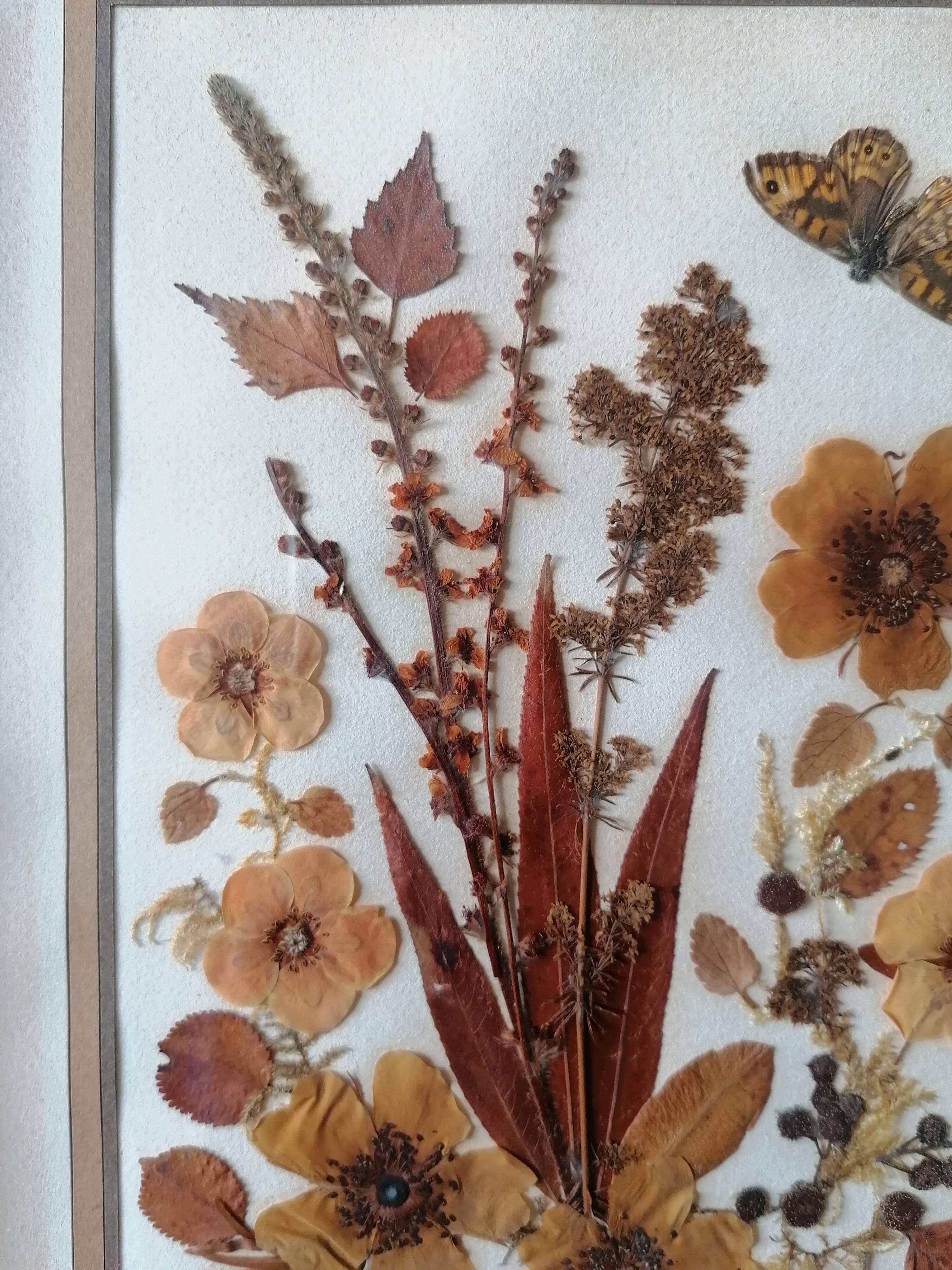 Ancient herbarium