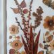 Ancient herbarium