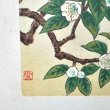 Painting enhanced engraving bird japan signed ashikaga "teaoil plant" 1950