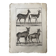 Engraving Old book 18th century Buffon, Bonnaterre, Natural history