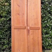 Paire de portes 248x129cm anciennes