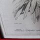 Color lithograph, Gallinaceous, JC Fournier