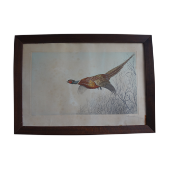 Lithograph framed 77x55cm pheasant Leon Danchin 1930