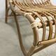 Chair rattan peacock