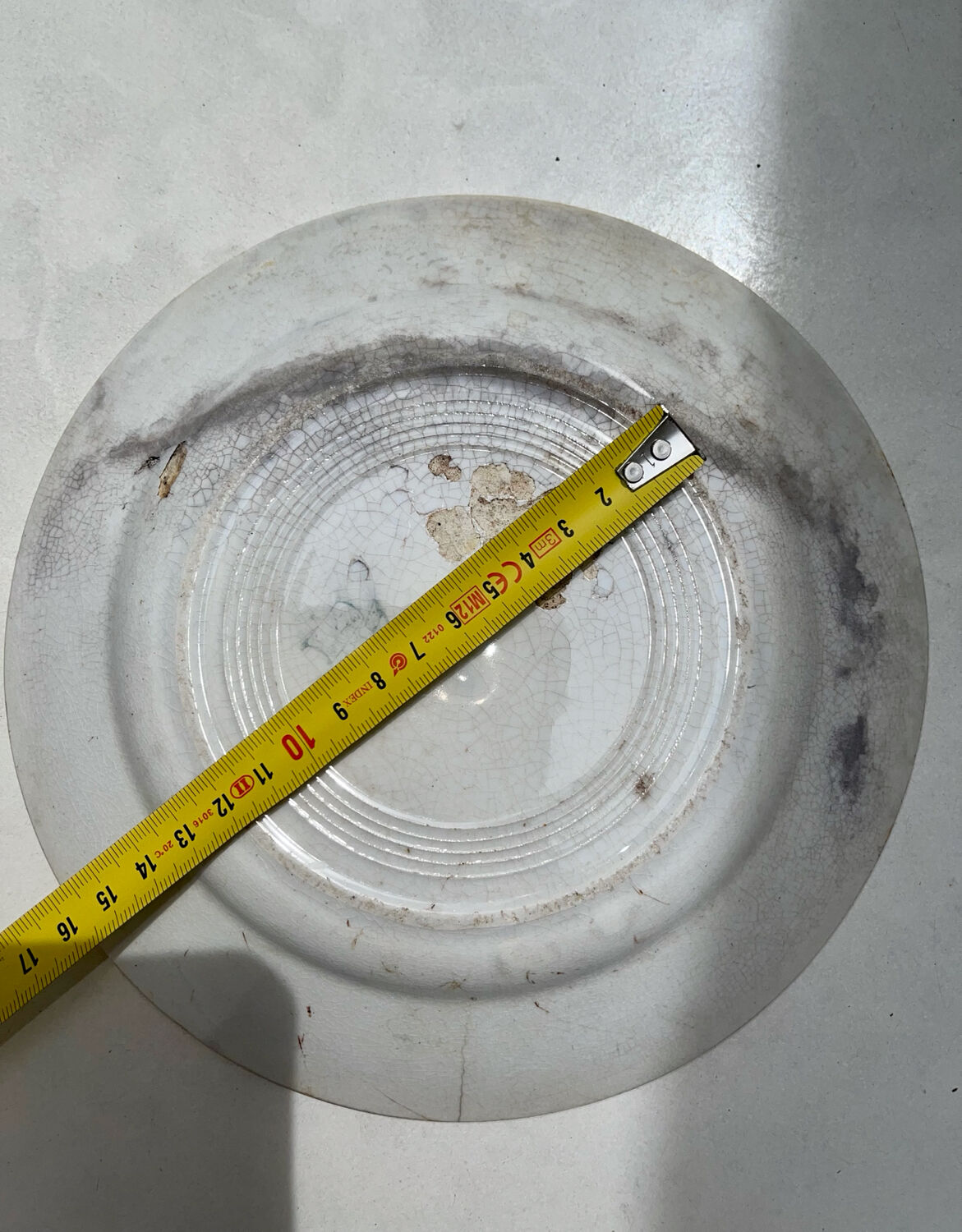 Old Creil and Montereau Labrador plate