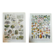 Set of two lithographs on fruits and the orchard from 1928