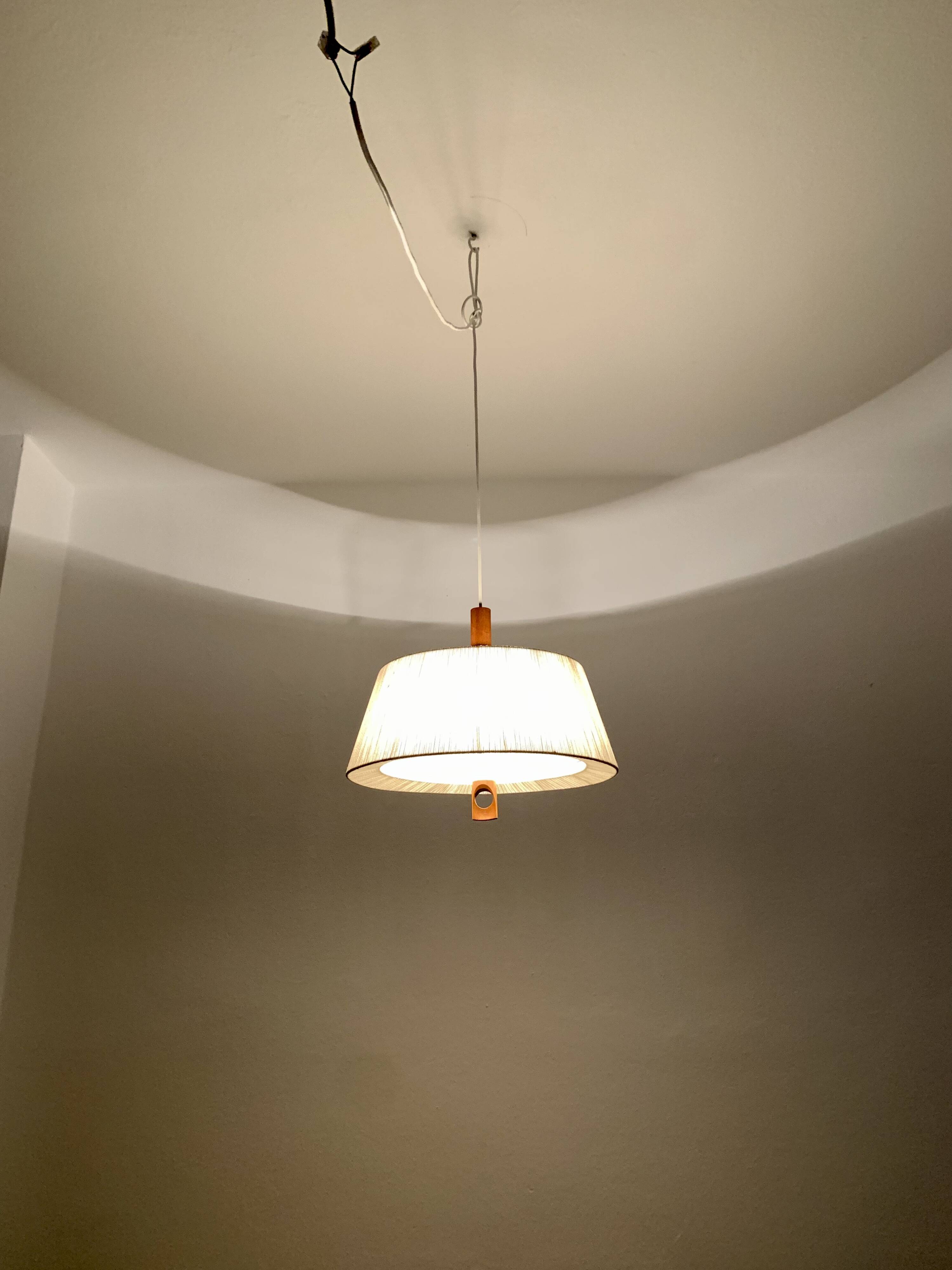 Raffia Bast and Walnut Pendant Lamp by Temde