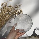 4 cups bowls transparent glass sheets