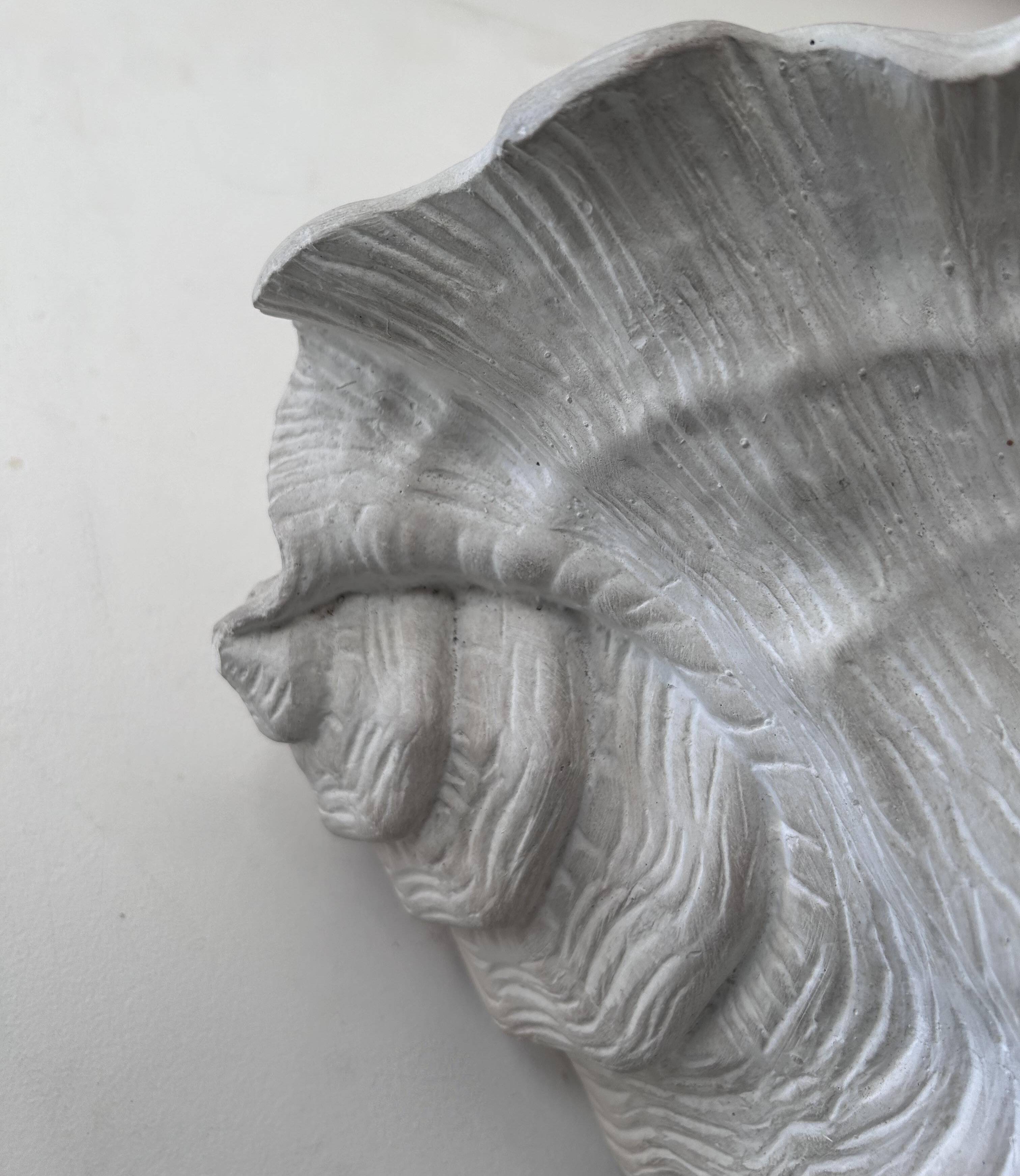Pair of vintage shell wall lights, matte white plaster, France 1940