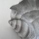 Pair of vintage shell wall lights, matte white plaster, France 1940