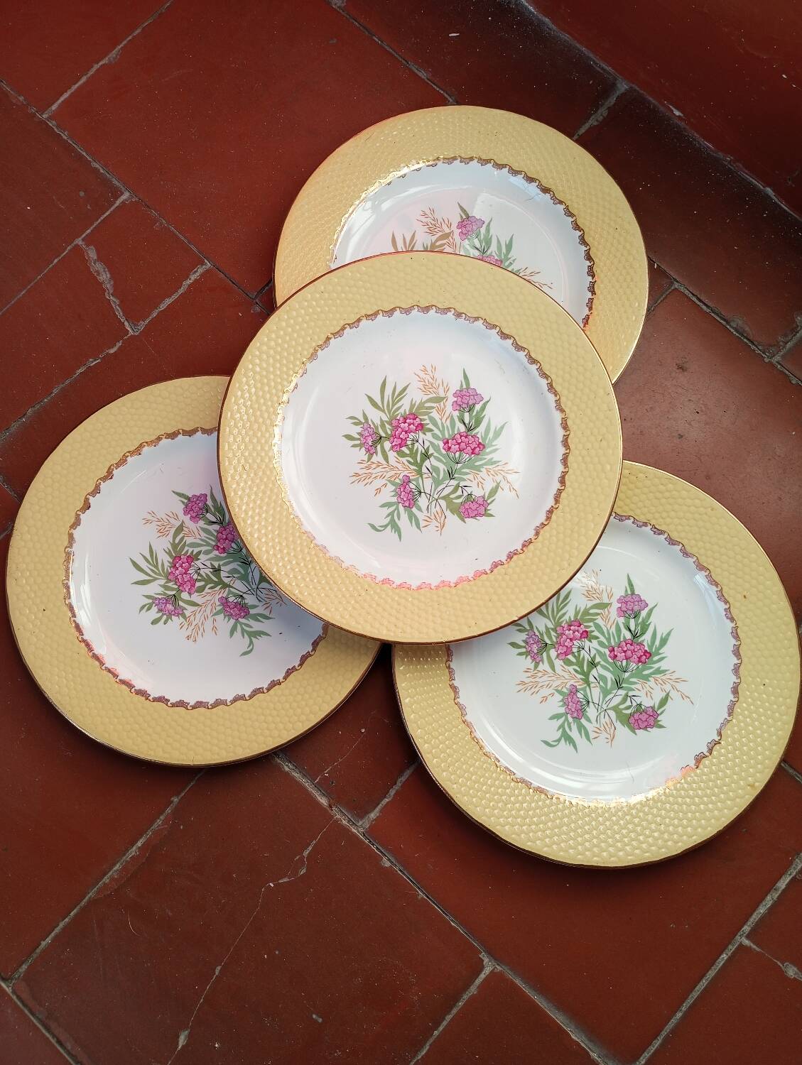 Amandinoise plate service