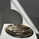 Dish in petrified wood