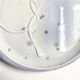Vintage plate Gien France model Pierrot blue star decoration