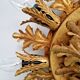 Floral ceiling light in gilded metal, Banci Firenze, Italy, 1970.