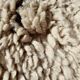1970s design rug, knotted wool, 280 x 200 cm