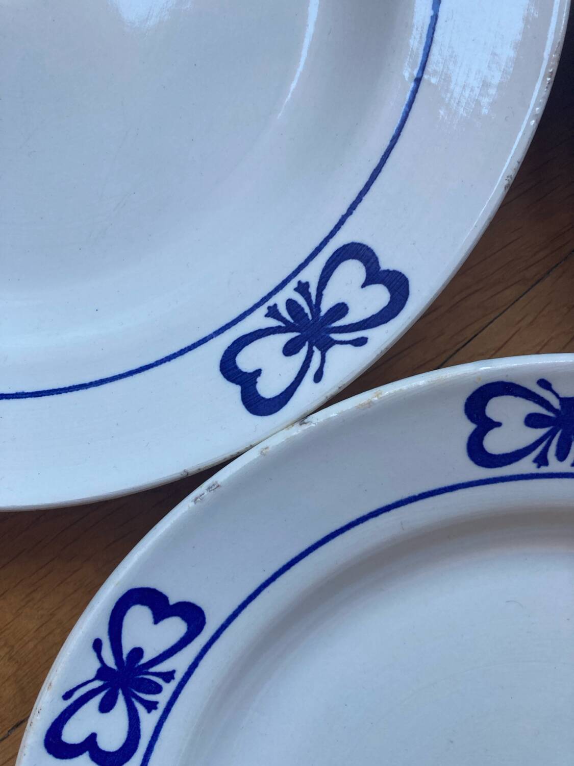 Blue butterfly patterned dinner plates