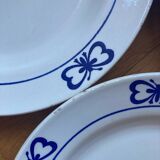 Blue butterfly patterned dinner plates