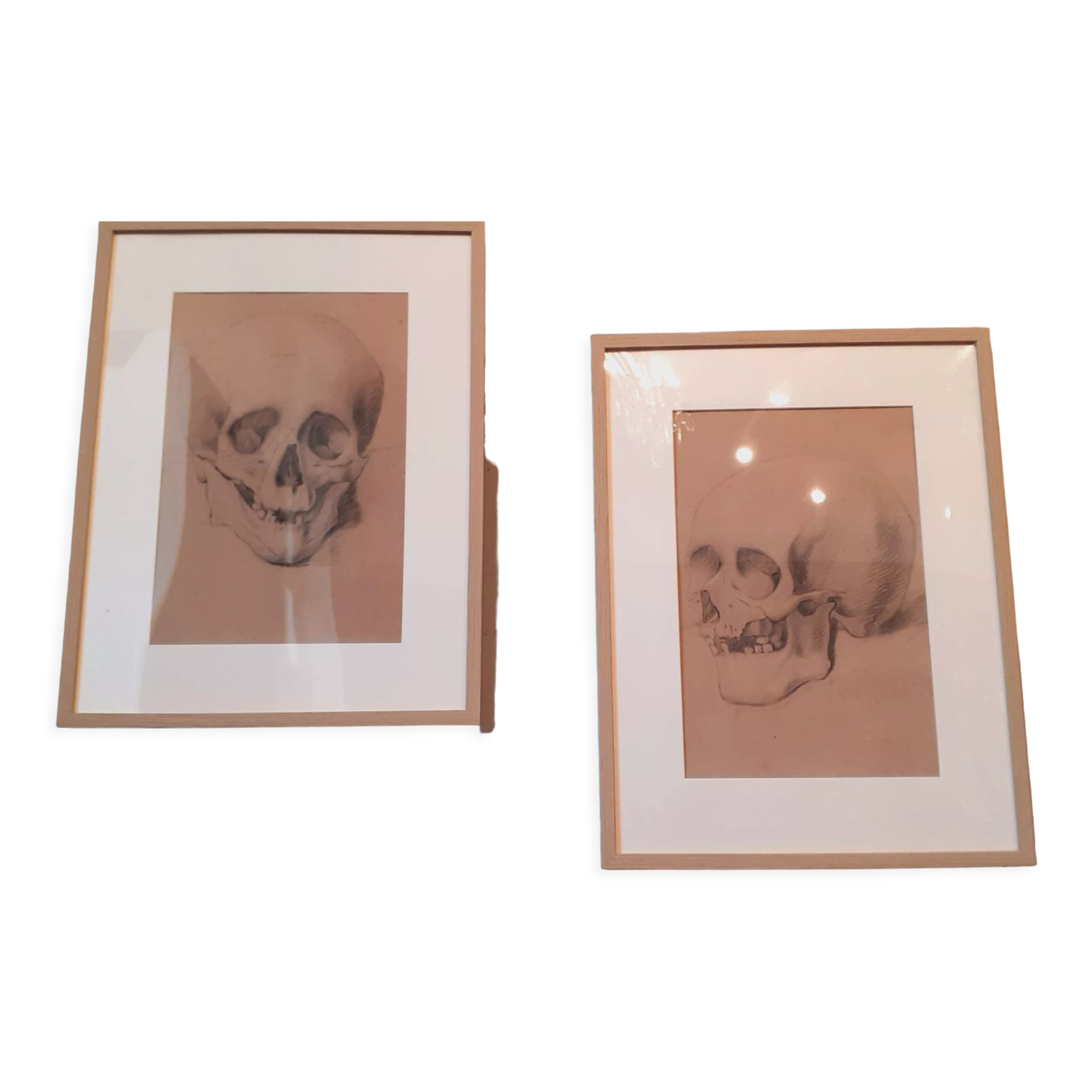 Pair of nineteenth pencil study drawings