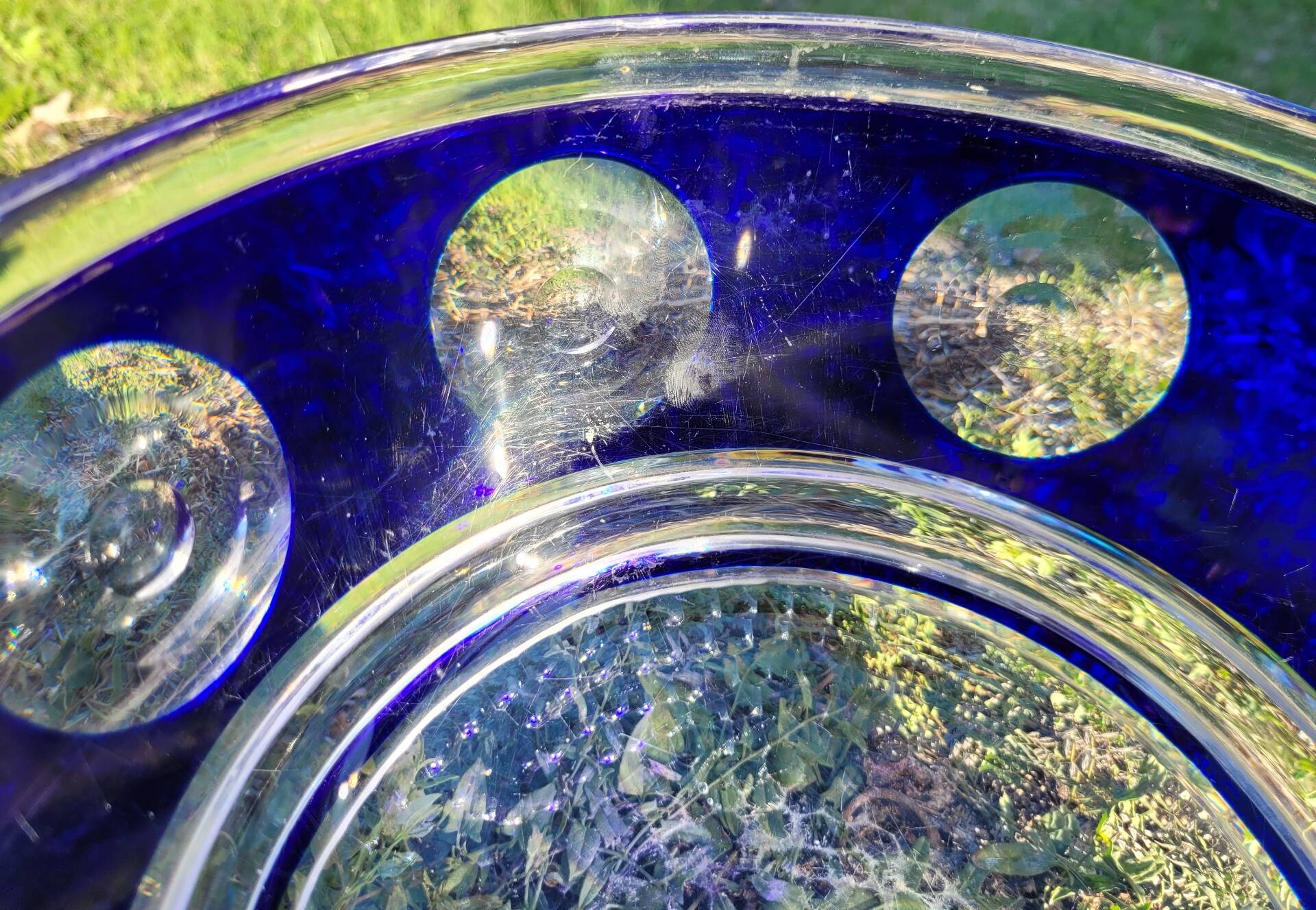 cobalt blue glass bowl with round lenses