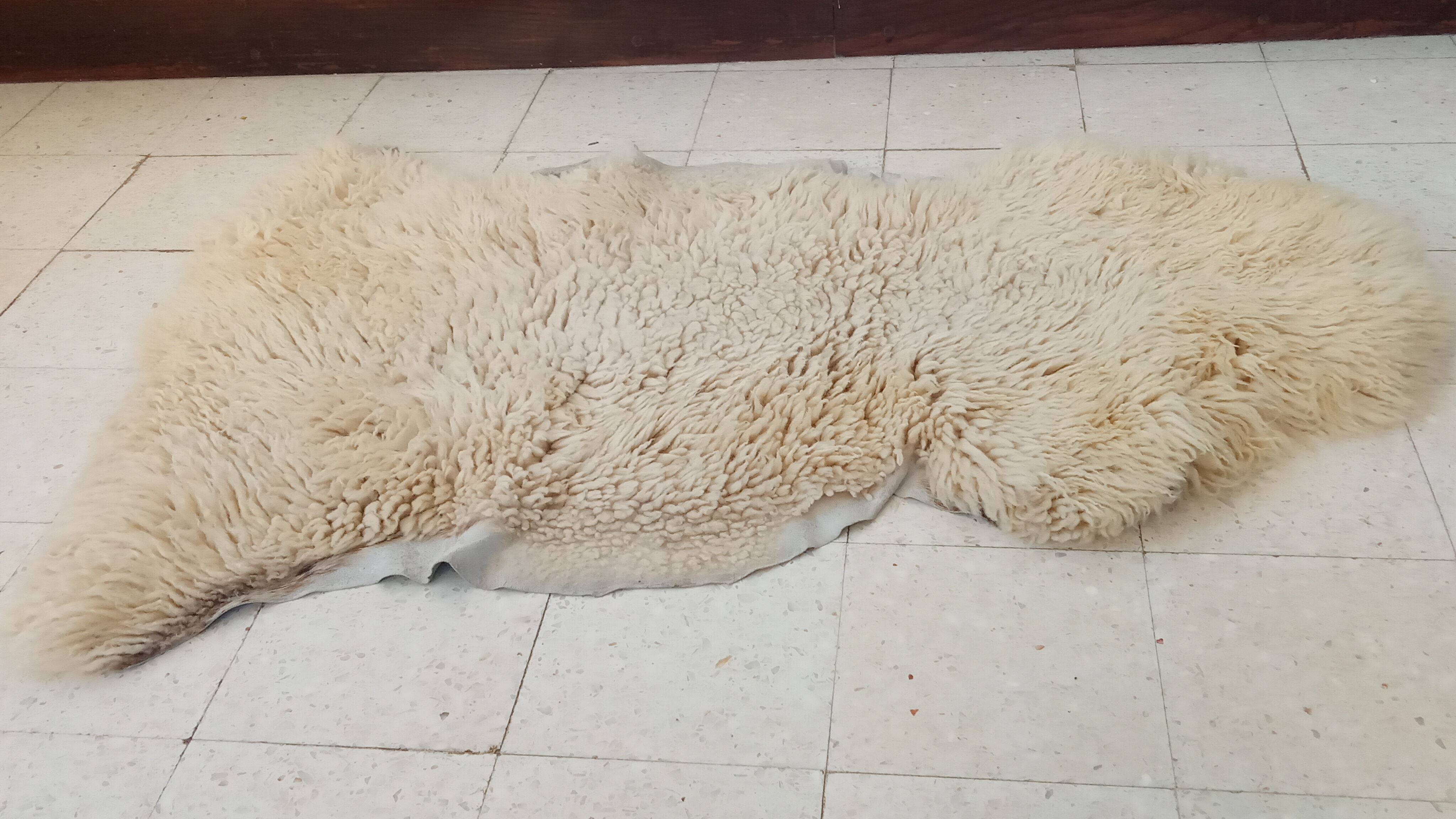 White sheepskin 107×75 cm