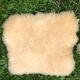 Sheepskins