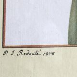 Reproduction P J redoute "iris monnieri" sous verre cadre bois