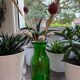 Vase vert vintage
