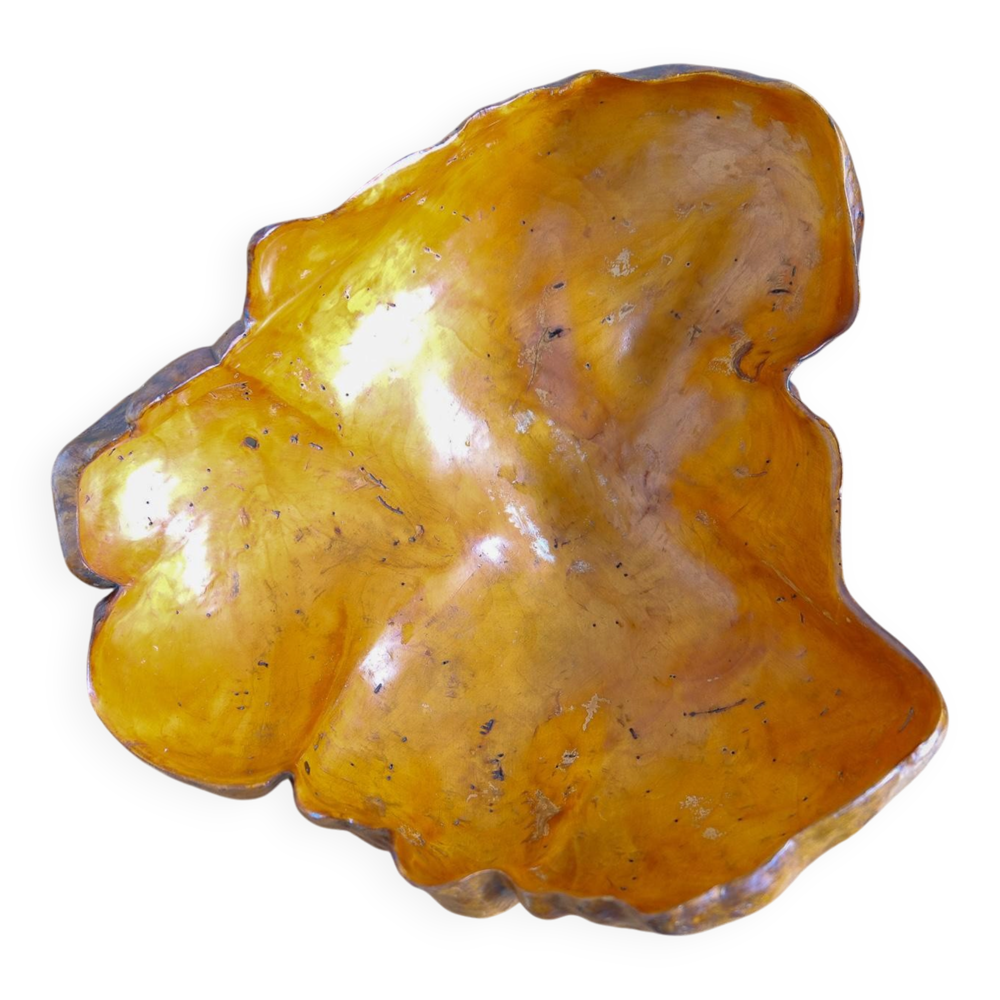 Swedish popular art Very large bowl in dark and curly birch, 1960s