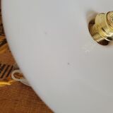 White opaline suspension