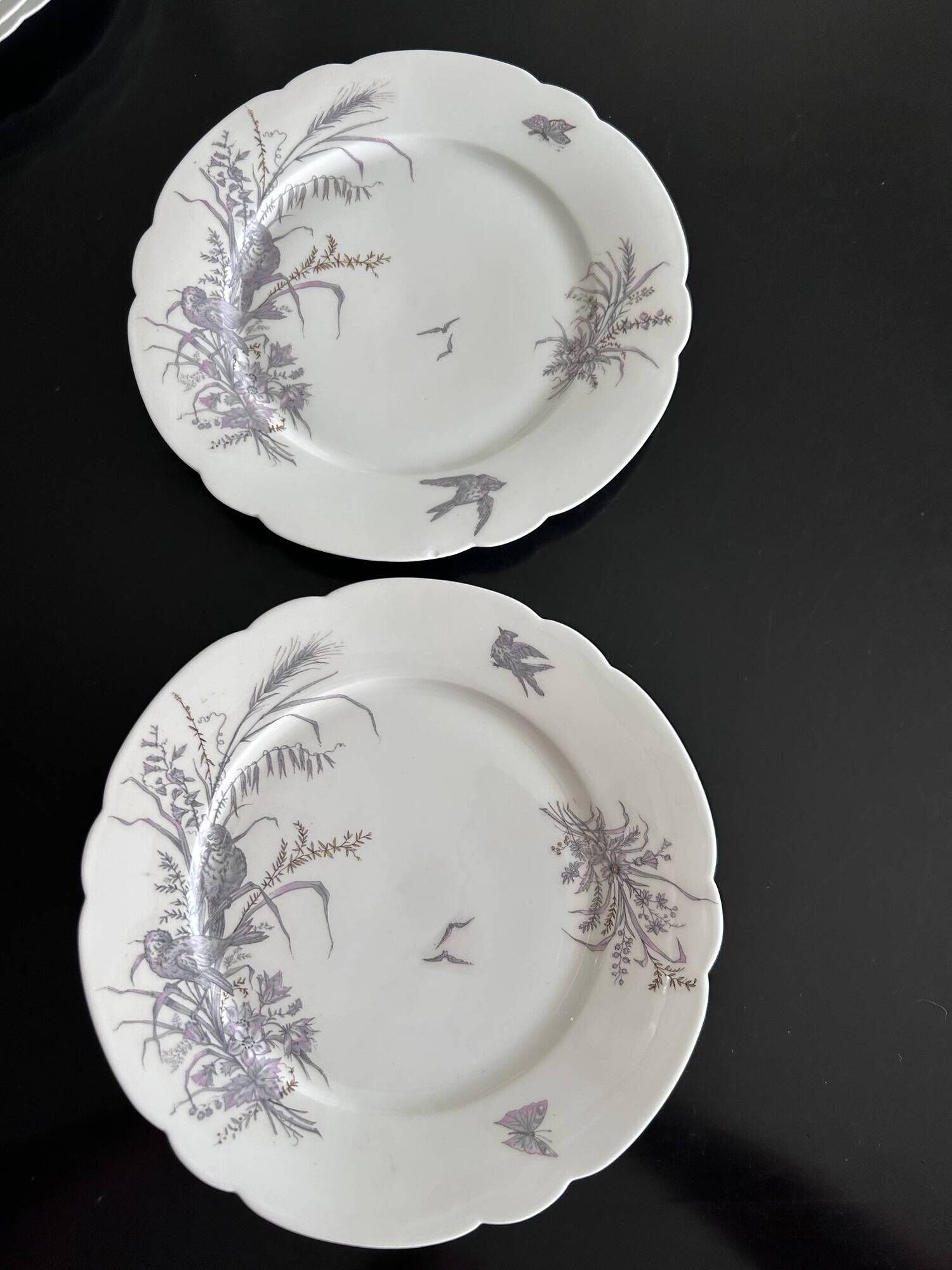 8 porcelain plates and 1 dish CH Pillivuyt & Cie