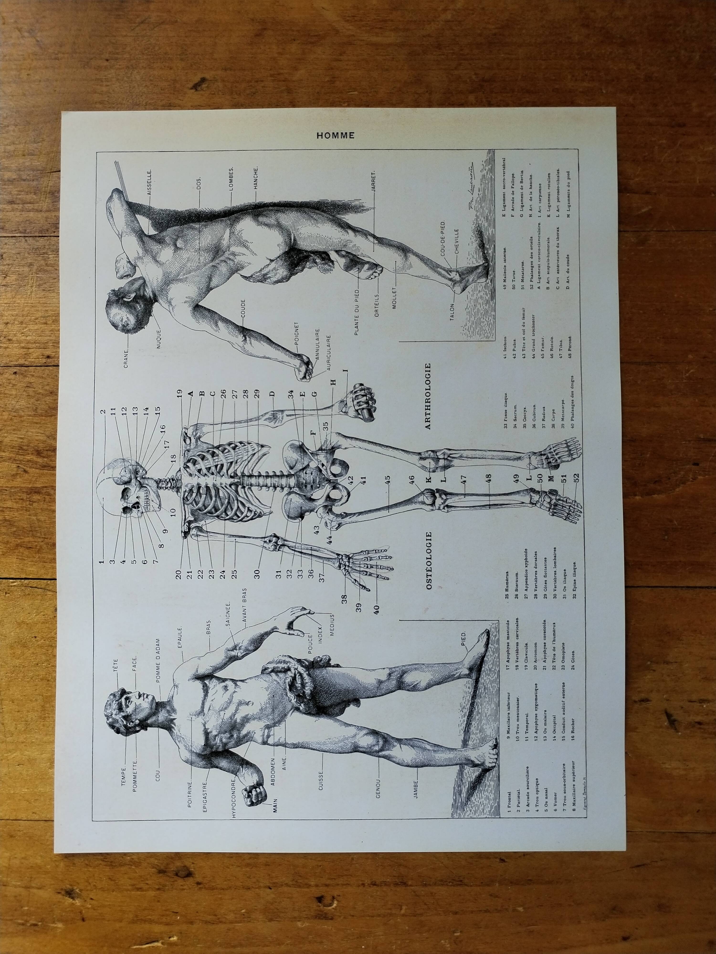 Original lithograph on Man