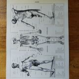 Original lithograph on Man