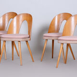 Chairs by Antonín Šuman 1950