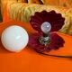 Burgundy ceramic shell lamp