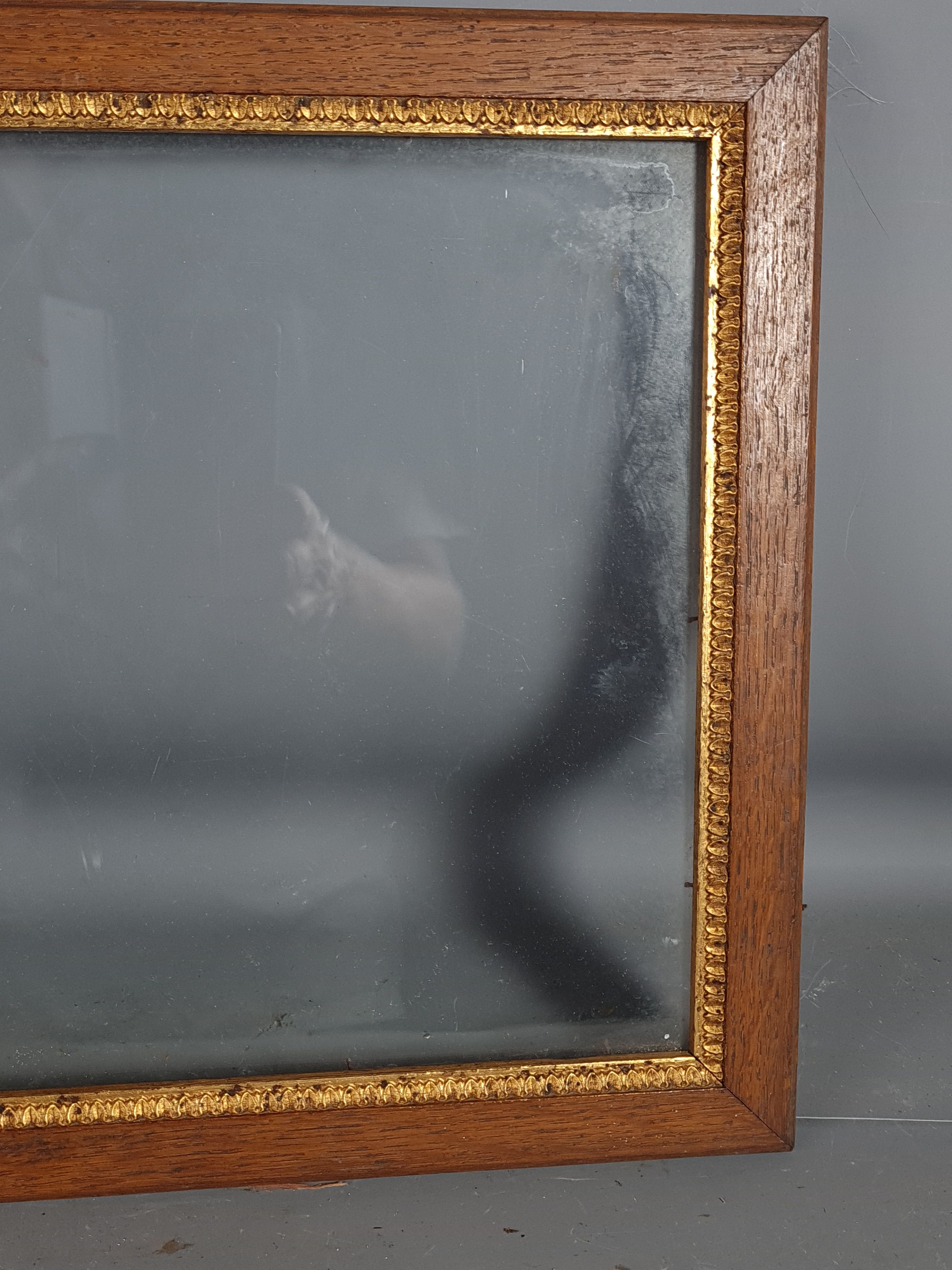 Old frame oak gilded stucco wood + glass 37.5x30 foliage 33x25.9 cm sb