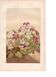 Gravure botanique de 1889 - Violette - Planche ancienne florale naturelle
