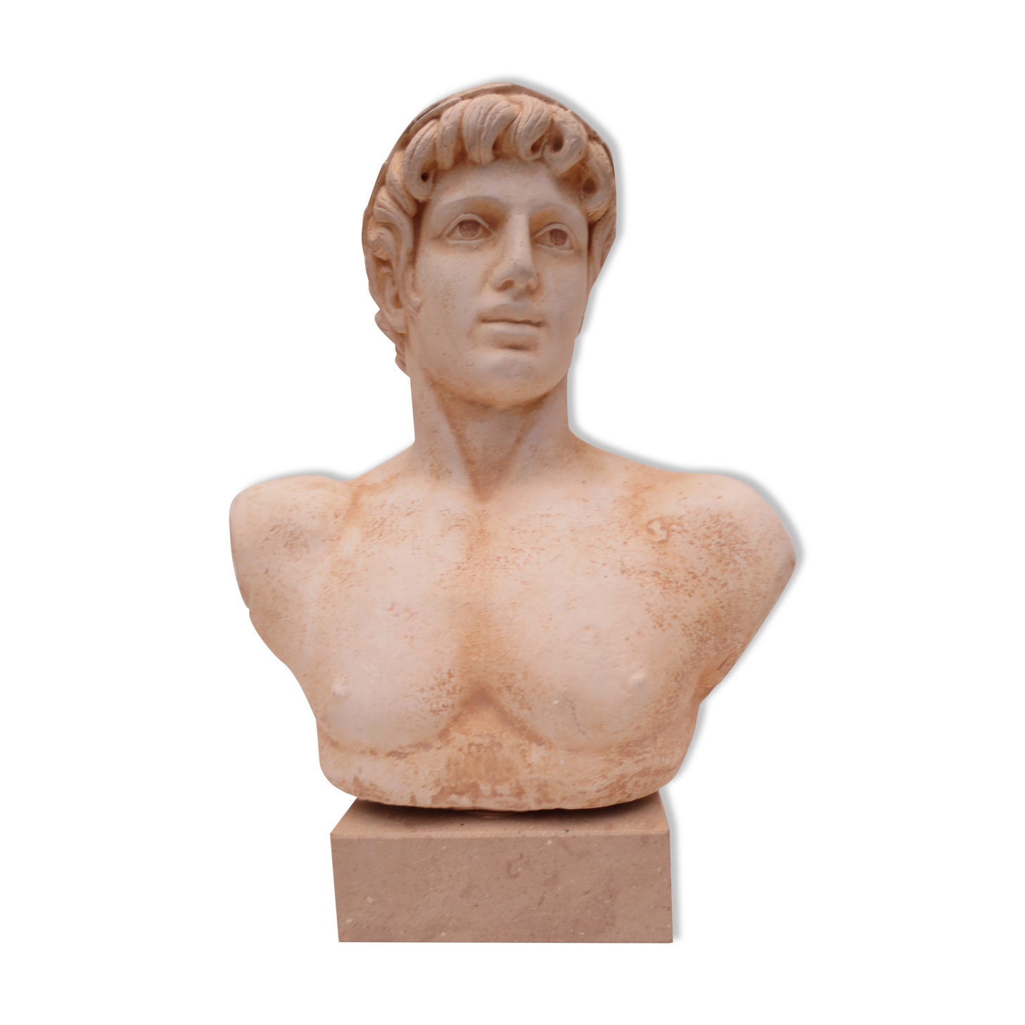 Bust of an ancient man